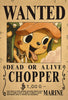 One Piece Bounty Wanted Posters