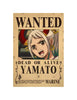 One Piece Bounty Wanted Posters