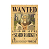 One Piece Bounty Wanted Posters