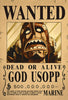 One Piece Bounty Wanted Posters