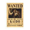 One Piece Bounty Wanted Posters