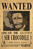 One Piece Bounty Wanted Posters